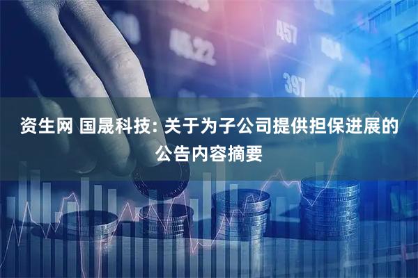 资生网 国晟科技: 关于为子公司提供担保进展的公告内容摘要