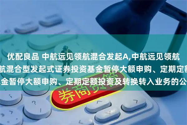 优配良品 中航远见领航混合发起A,中航远见领航混合发起C: 中航远见领航混合型发起式证券投资基金暂停大额申购、定期定额投资及转换转入业务的公告