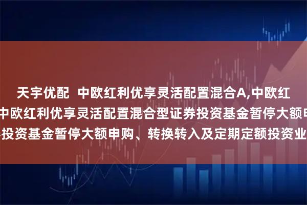 天宇优配  中欧红利优享灵活配置混合A,中欧红利优享灵活配置混合C: 中欧红利优享灵活配置混合型证券投资基金暂停大额申购、转换转入及定期定额投资业务的公告