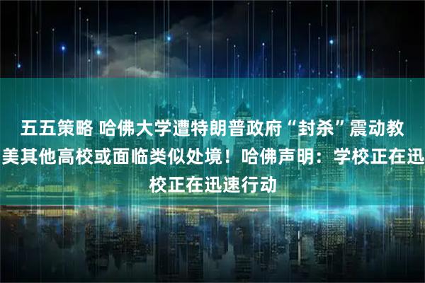 五五策略 哈佛大学遭特朗普政府“封杀”震动教育界！美其他高校或面临类似处境！哈佛声明：学校正在迅速行动