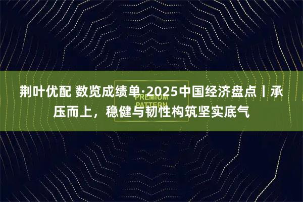 荆叶优配 数览成绩单·2025中国经济盘点丨承压而上，稳健与韧性构筑坚实底气