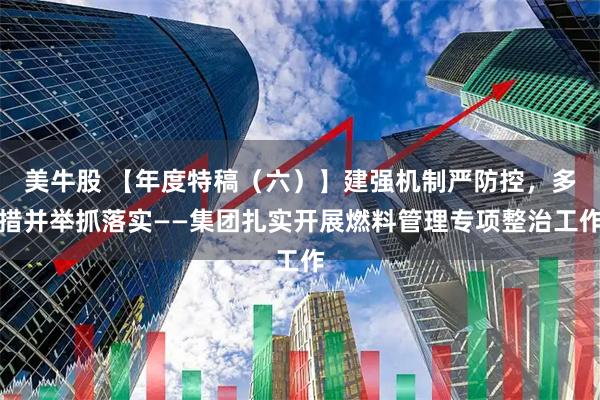 美牛股 【年度特稿（六）】建强机制严防控，多措并举抓落实——集团扎实开展燃料管理专项整治工作