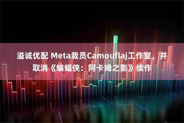 溢诚优配 Meta裁员Camouflaj工作室，并取消《蝙蝠侠：阿卡姆之影》续作