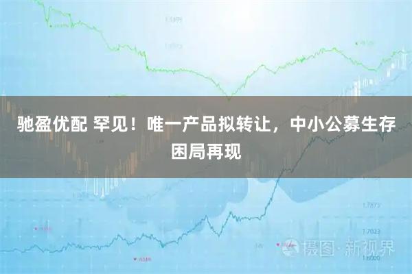 驰盈优配 罕见！唯一产品拟转让，中小公募生存困局再现