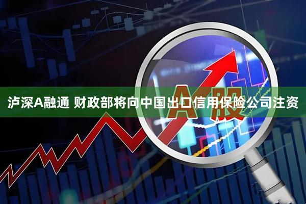 泸深A融通 财政部将向中国出口信用保险公司注资
